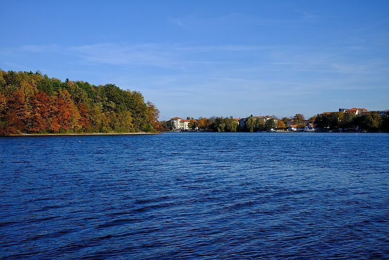 Datei:Straussee Blick vom Westufer.jpg