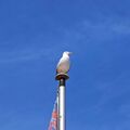 Vorschaubild der Version vom 19:01, 10. Aug. 2025