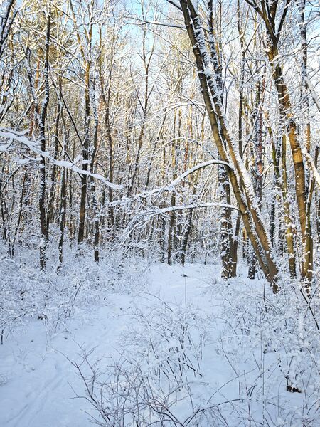 Datei:20260104 SRB05.jpg