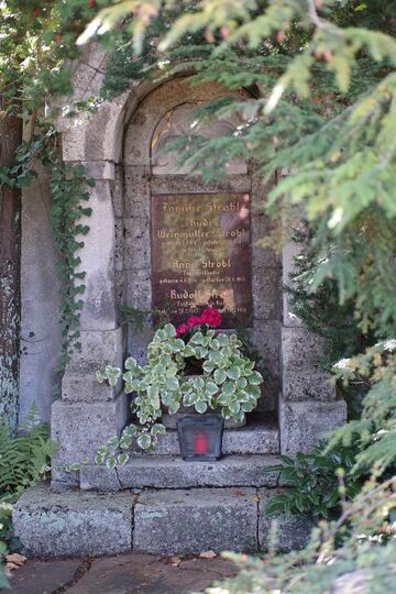 Friedhof Wels 08.jpg