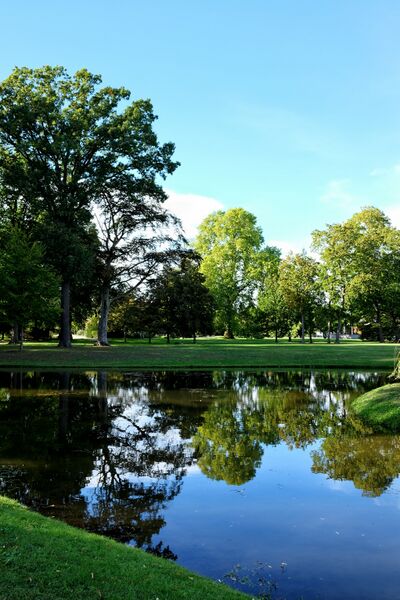 Datei:2023 Schlosspark Neuhsrdenberg-03.jpg