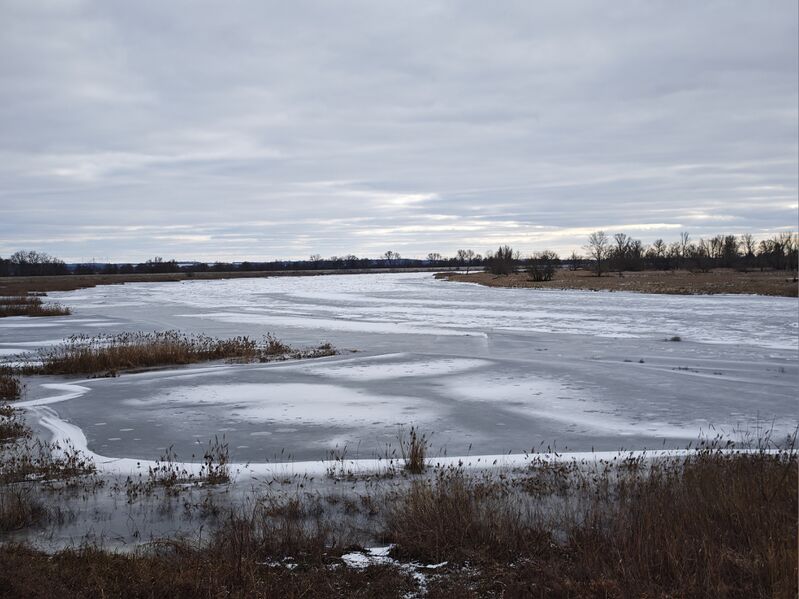 Datei:Kuestrin Oder 03.jpg