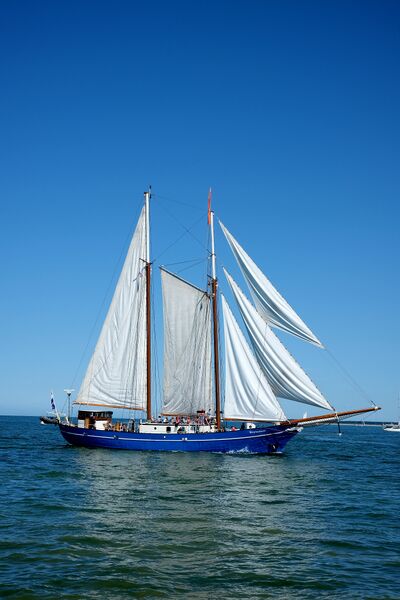 Datei:2026 HanseSail Stortemelk.JPG