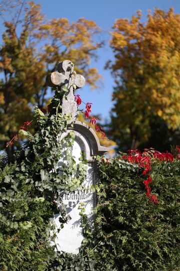 Friedhof Wels 20.jpg