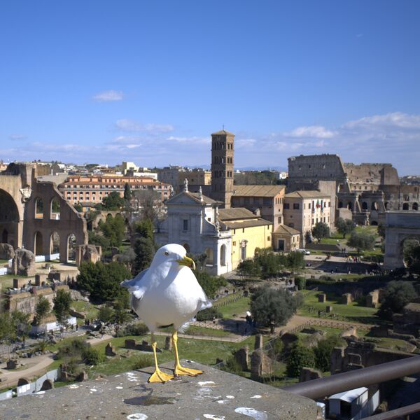 Datei:Rom Moewe 04.jpg