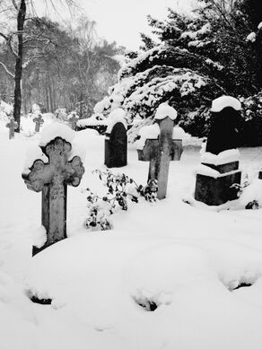 Friedhof Wustrow 06.jpg