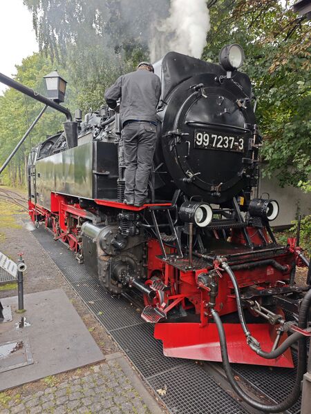 Datei:99 7237 Drei Anne Hohne 09 2025.jpg