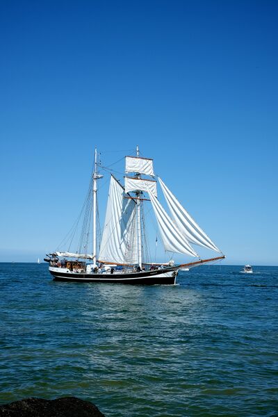 Datei:2026 HanseSail Banjaard.JPG