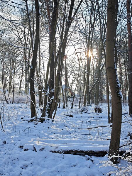 Datei:20260104 SRB02.jpg