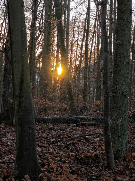 Datei:2025 Annatal 2.jpg