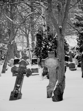 Friedhof Wustrow auf Fischland