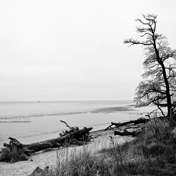 Datei:2025 Lossin 03.jpg