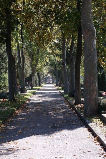 Friedhof Wels 09.jpg