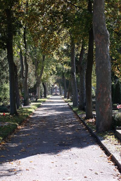Datei:Friedhof Wels 09.jpg