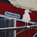 Vorschaubild der Version vom 18:58, 10. Aug. 2025