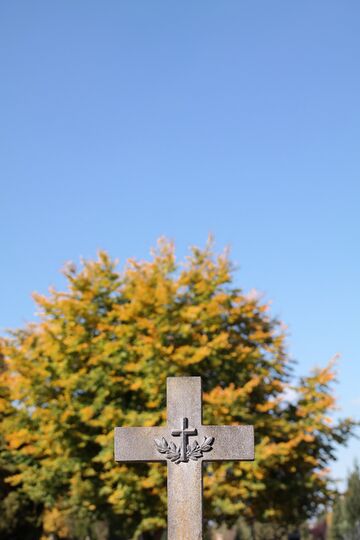 Friedhof Wels 17.jpg