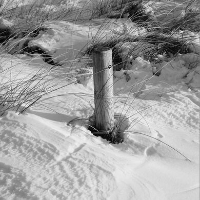 Winter am Strandabgang.jpg