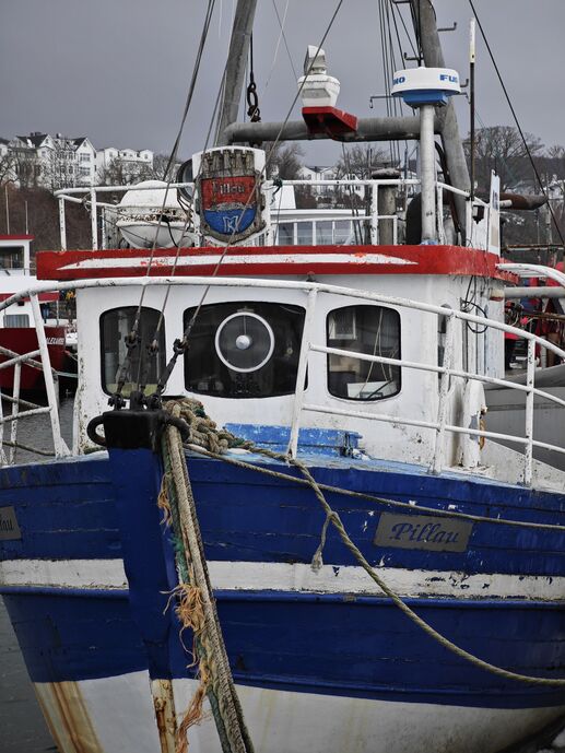 Fischkutter Pillau 02.jpg